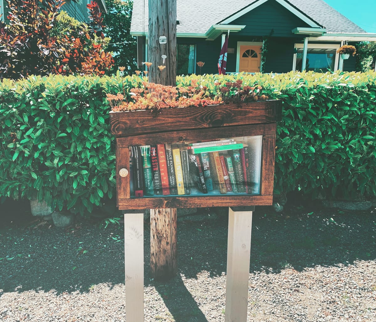 photo of a little free library with bushes behind it